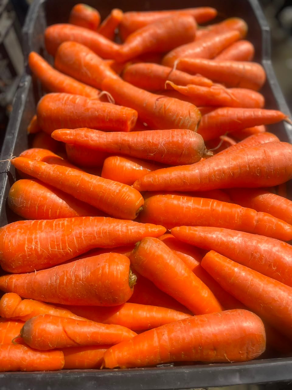 Carrots