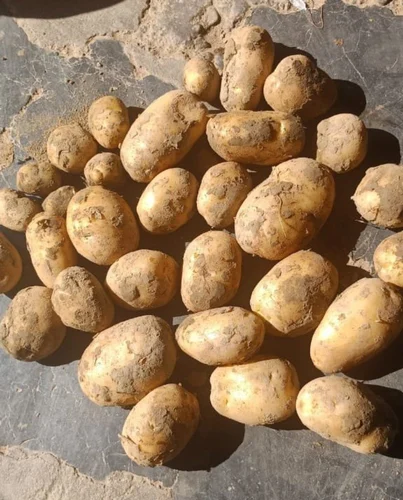 Kashmiri Potatoes