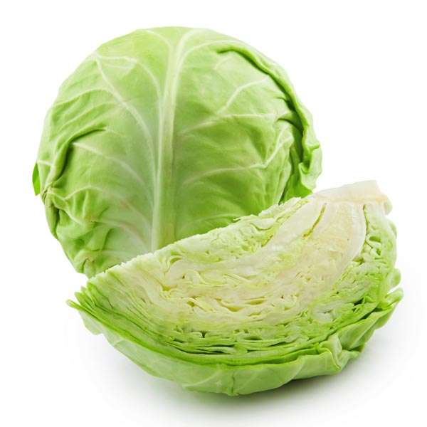 CABBAGE