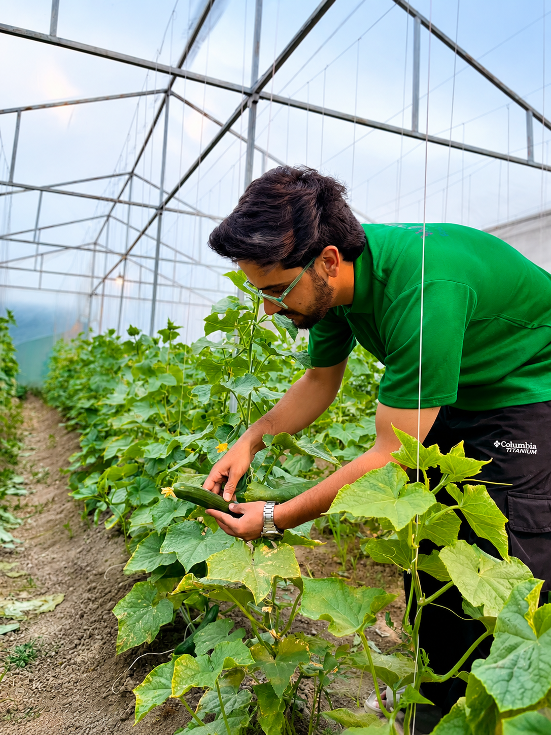 Green Farm Freshz